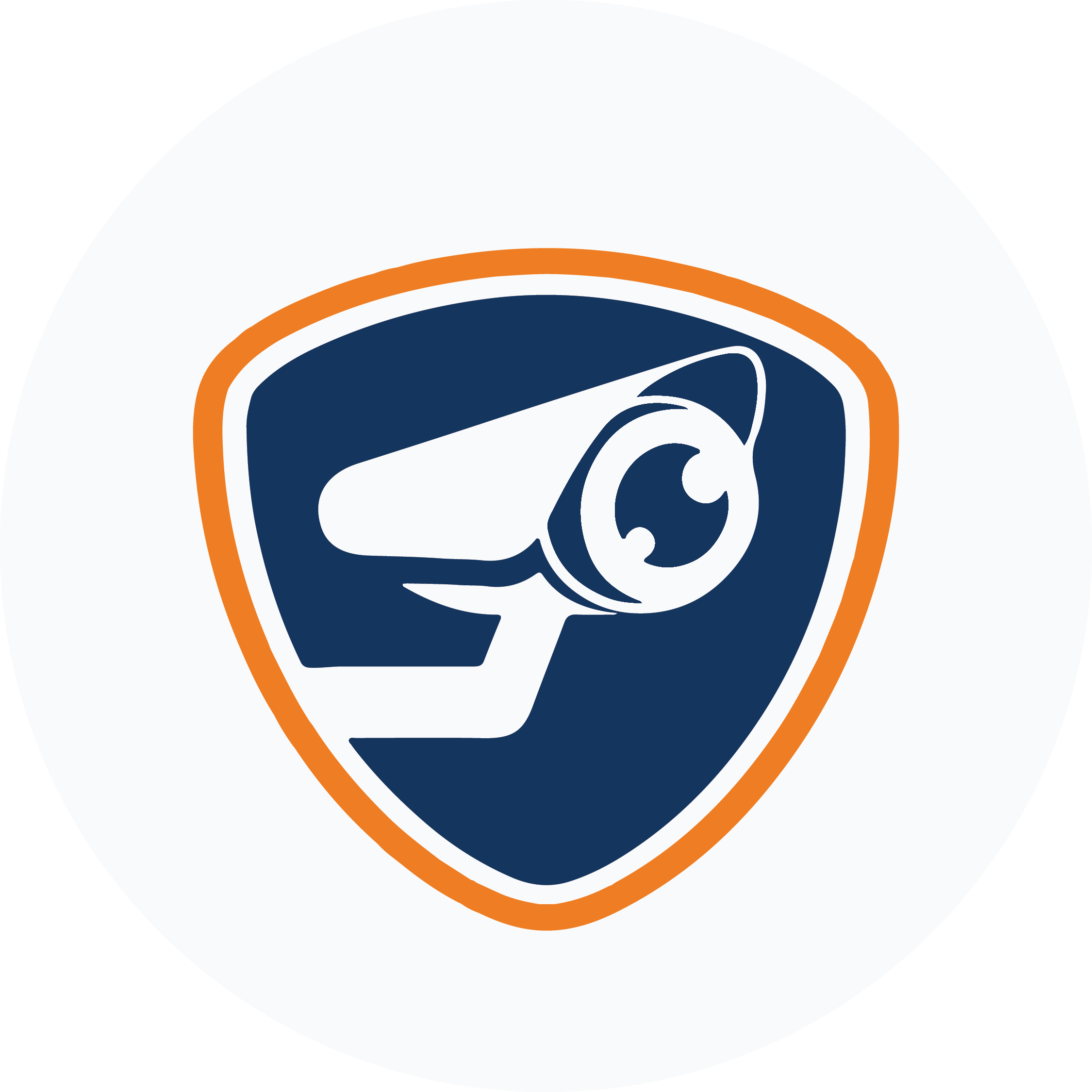 alaman security