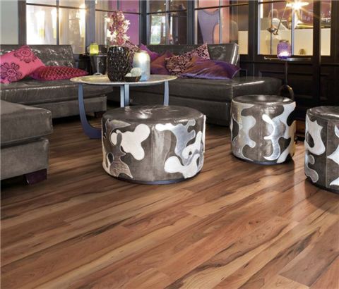 gallary 2023 02 15 63ecab2c06cb7