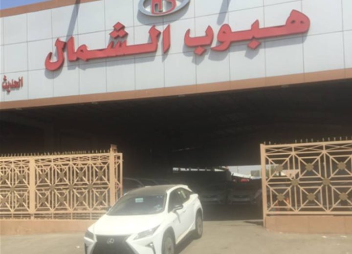 maard hbob alshmal llsyarat 2023 02 17 63ef6268ad713